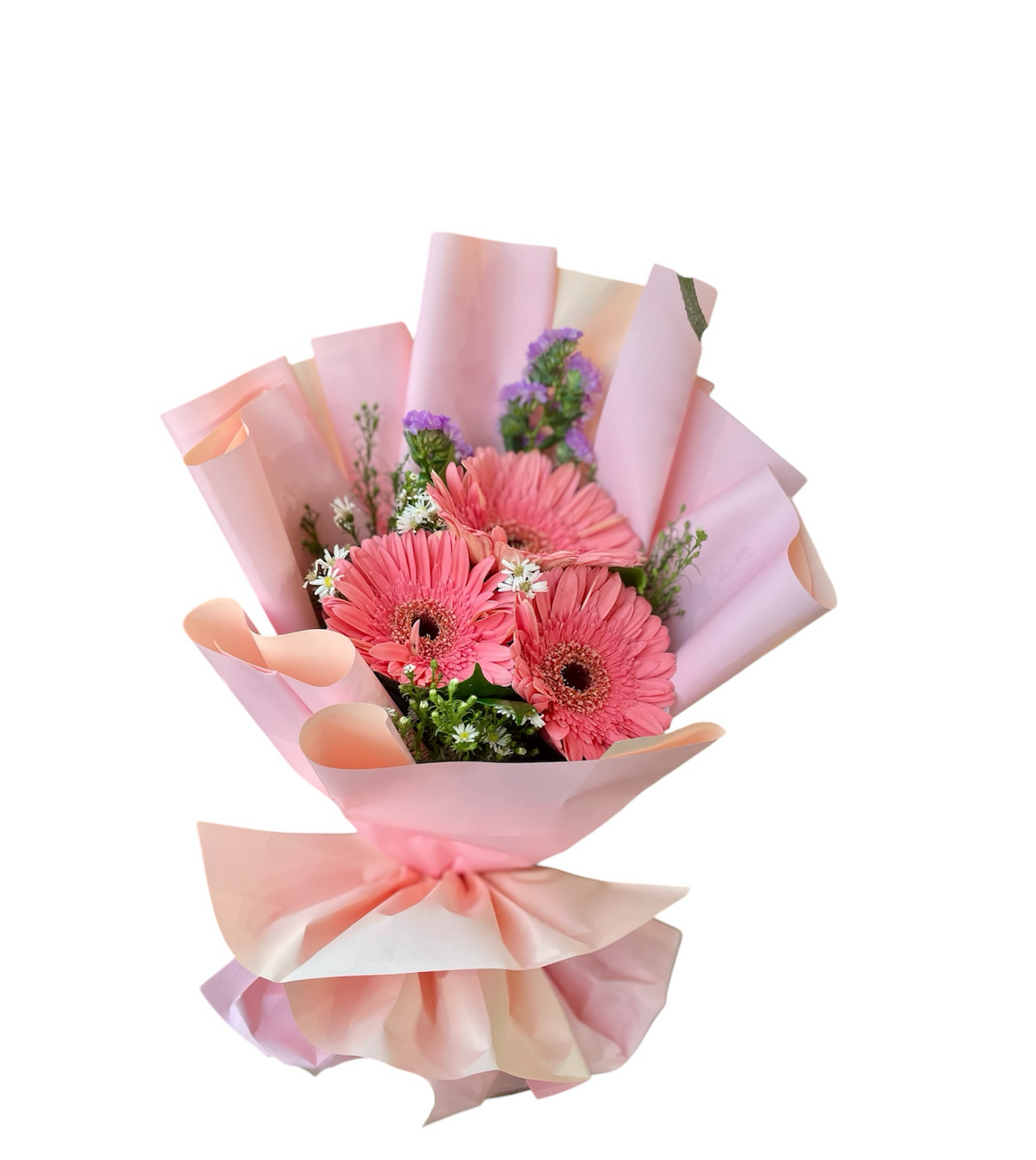 Gerbera Glow