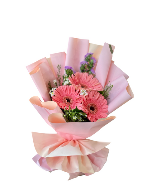 Gerbera Glow