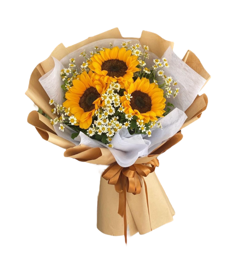 Sun-kissed blooms