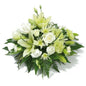 Condolence Casket 1